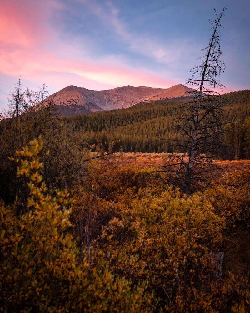 colorado alyssa-teboda-50qrv-KWQsY-unsplash