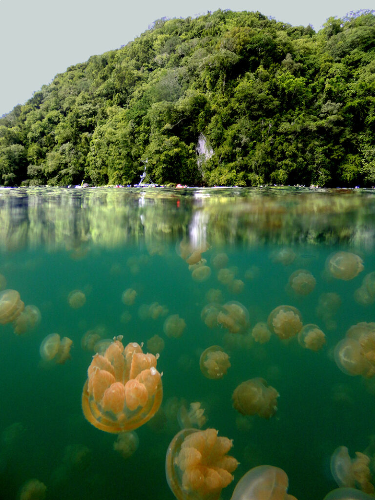 The 10 Most Ethical Destinations to Visit in 2023 (And Why it Matters ...